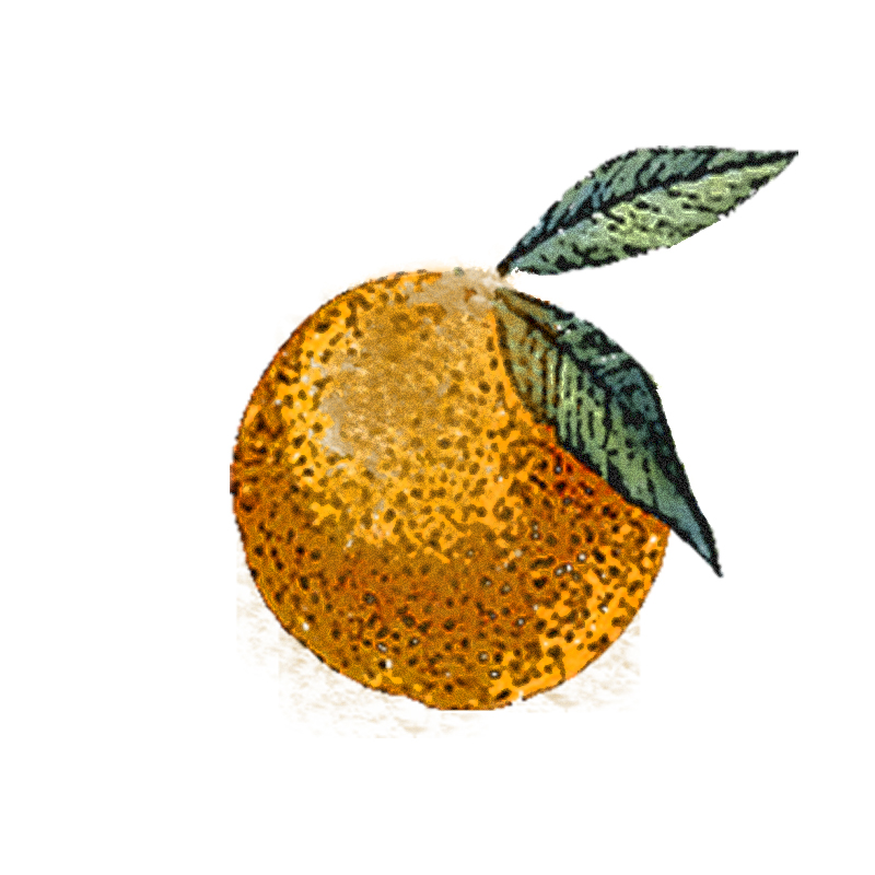 ¿En que se parece tu piel a una naranja? descubre el símil entre las características de esta fruta y la piel grasa.